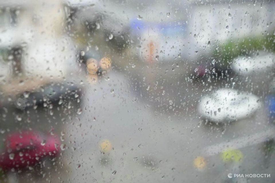 ������� ������ � ����� �� �������