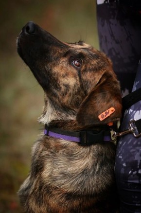 ��������� ����� ������� ��� ������� ��� ��������� ��������