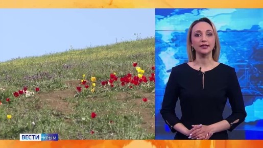 �������������� �������� ����� ����: 21.04.2026