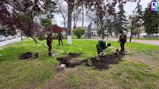 � ������ �������� ���������� ������ �� ��������� ������� ����������