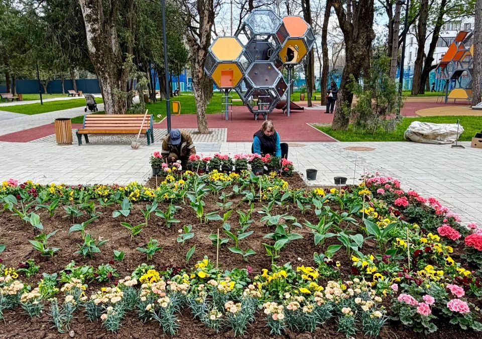 Тысячи цветов добавят красок обновлённому Детскому парку Тысячи цветов добавят красок обновлённому Детскому парку