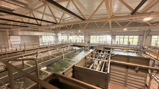 ��� ������� ��������� ������������� �������� ����������