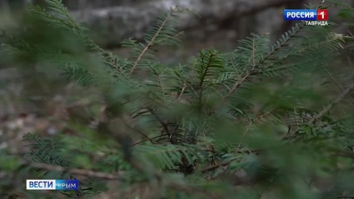 22 ������ � ������������� ���� �����