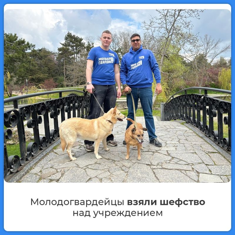 Волонтеры взяли шефство над приютом для бездомных животных Волонтеры взяли шефство над приютом для бездомных животных