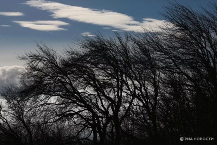 ������� ����� �������� � ���� ��� ������