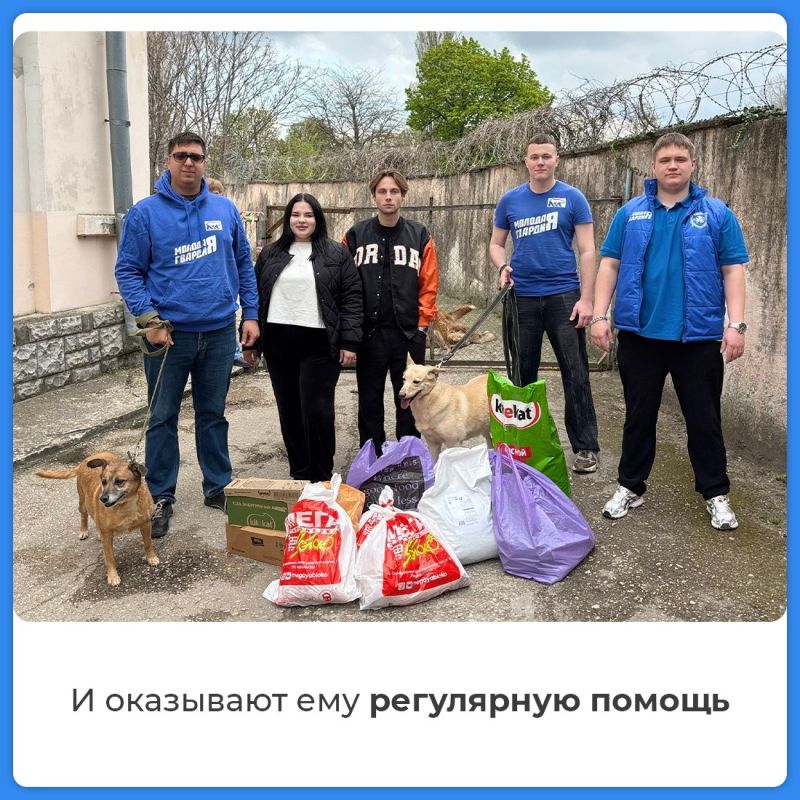 Волонтеры взяли шефство над приютом для бездомных животных Волонтеры взяли шефство над приютом для бездомных животных