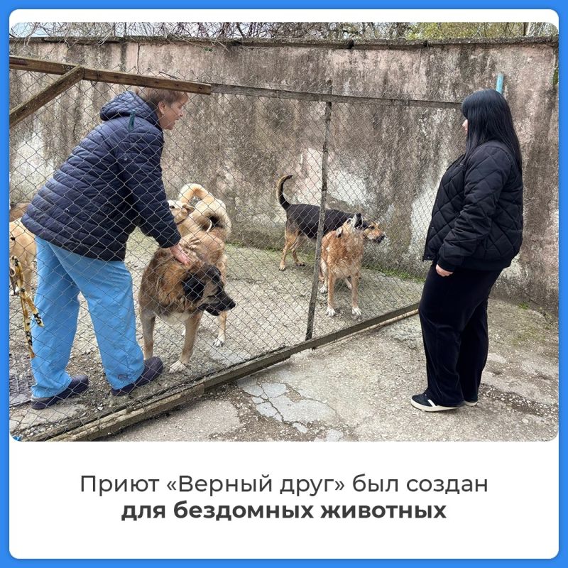 ��������� ����� ������� ��� ������� ��� ��������� ��������