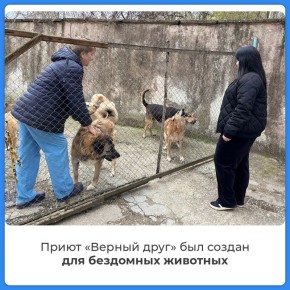 ��������� ����� ������� ��� ������� ��� ��������� ��������