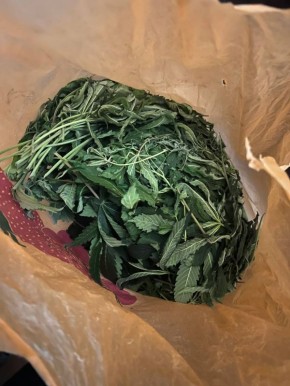 ������ ������������ ������ ������� �� �������� ����������