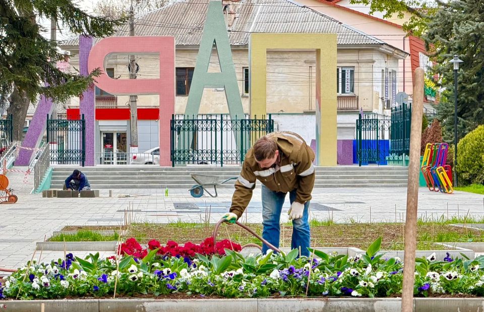 Тысячи цветов добавят красок обновлённому Детскому парку Тысячи цветов добавят красок обновлённому Детскому парку