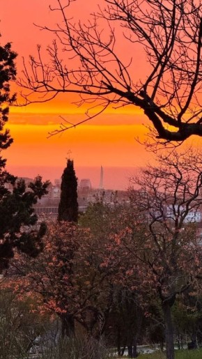 ����������� ����� �� ��������� ������� � �����������