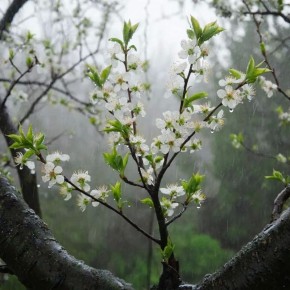 ����� ������ ��� ������� � ������ ����� 22 ������