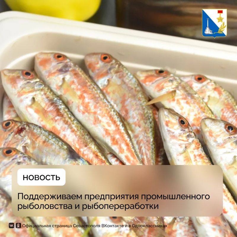 Три рыбопромышленных предприятия Севастополя получили почти восемь миллионов рублей на модернизацию флота