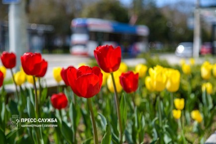 ������ ����, ���������!. ����������� ������� ���������� ������� �� +13��