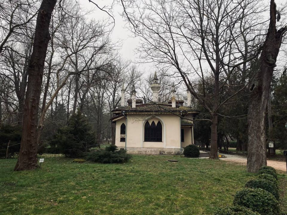 ������ ����, �����������!