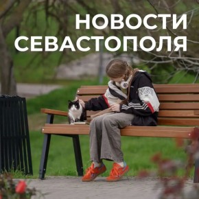 ������ ���������: ������� � �������:. ������� �������� ����� ���