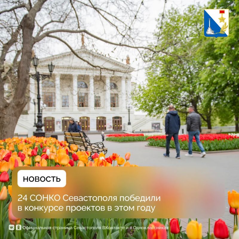 24 некоммерческие организации Севастополя получат более 42 миллионов рублей на социальные проекты