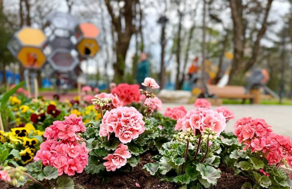 В Детском парке Симферополя стартовала высадка цветов