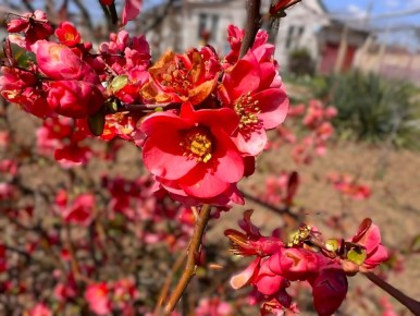 ������ ����, �������!. ����� ��� ����� ��������� � �����, ��������� �� �������� � ���������������