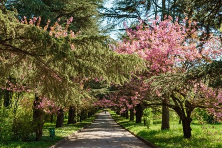 ������� ������� ����������� ������� �� ���������� ��������� ���������� �������