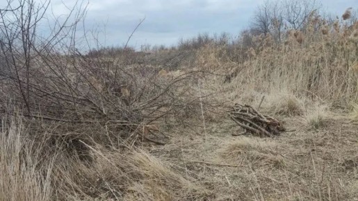 � ������� ������ ������� �������� ����� �� ���������� ����� ����