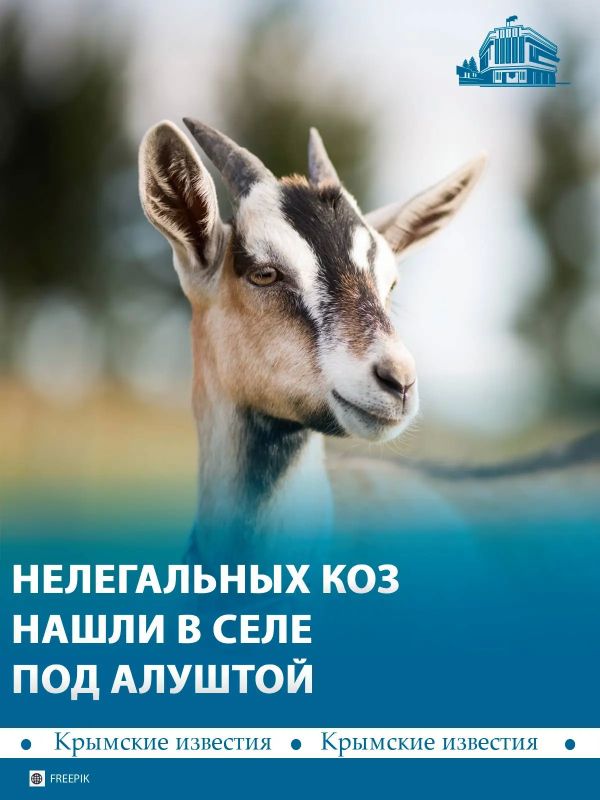 22 ���� ��� ����������� ����� ��� �������
