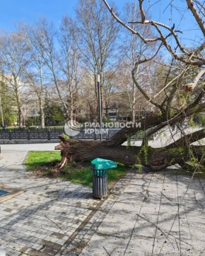 ������ ������� � ������: ����������� ��������� �������� � �����������