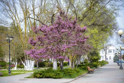 �������� � ����� ����� �������