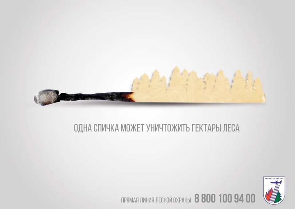 Берегите лес от пожара!