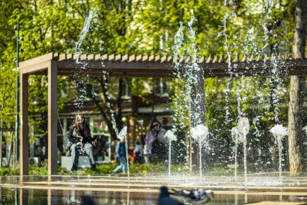 ������ ����!. #�����������