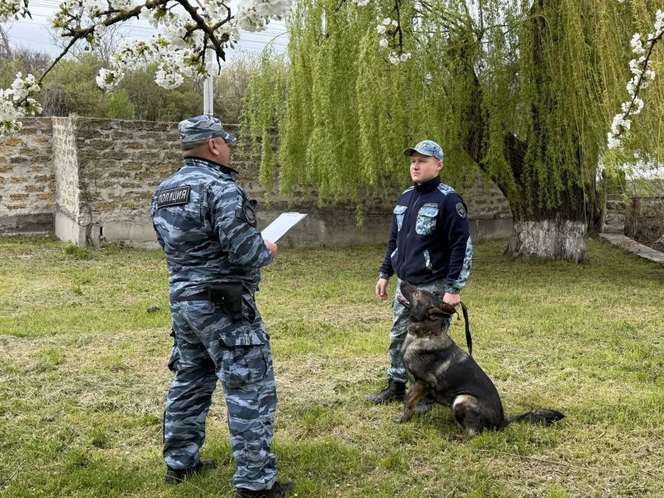 В МВД по Республике Крым прошел конкурс «Лучший по профессии» среди сотрудников кинологических подразделений В МВД по Республике Крым прошел конкурс «Лучший по профессии» среди сотрудников кинологических подразделений