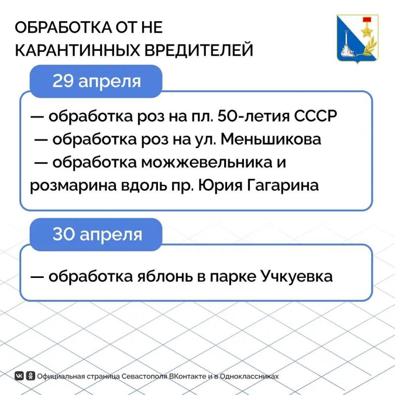 В Севастополе приступают к обработке зелёных насаждений от некарантинного вредителя В Севастополе приступают к обработке зелёных насаждений от некарантинного вредителя