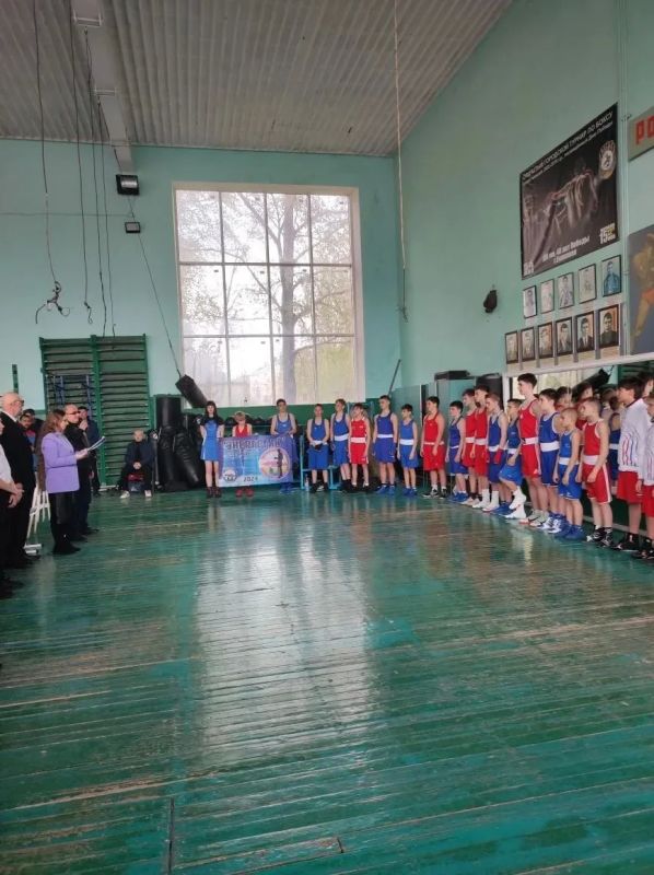 Республиканские соревнования по боксу Республиканские соревнования по боксу