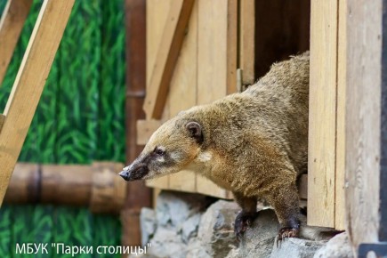 #���������_���������. ������ - ���� �� ����� ����������� � ����������� ������� ���������������� ���������