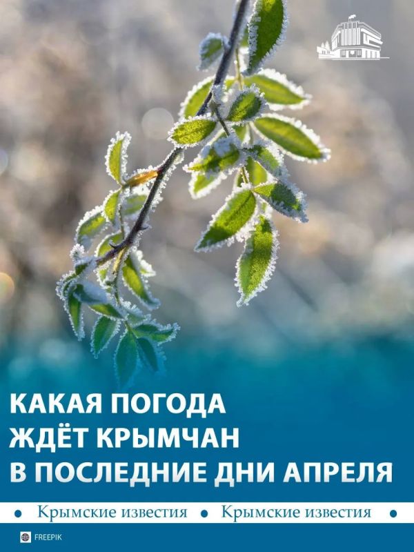 Заморозки до –3 С° ожидаются в Крыму 28 и 29 апреля