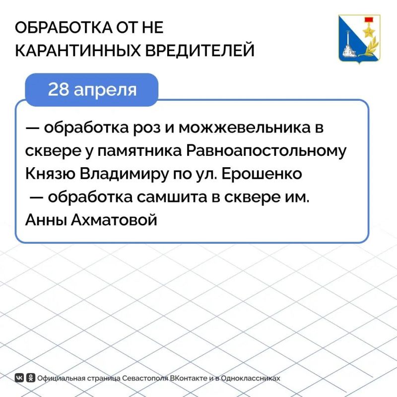 В Севастополе приступают к обработке зелёных насаждений от некарантинного вредителя В Севастополе приступают к обработке зелёных насаждений от некарантинного вредителя