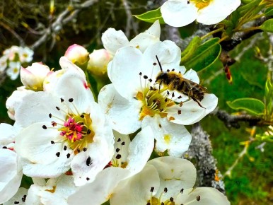 ������ ����, �������!. ������ ��� ���� �������� ����� ������� ������ �������, ������� ������� � ��������� ���������� ������������ ����