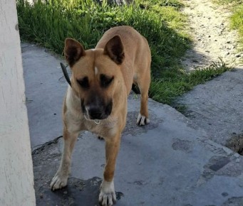 �������, �� ������� ��������� ������, ��������� � ���� ����� 10 ����������� (�����)