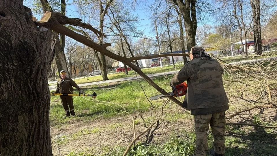 Ежедневно сотрудники Службы городского хозяйства ведут работы по уходу за зелеными насаждениями Ежедневно сотрудники Службы городского хозяйства ведут работы по уходу за зелеными насаждениями