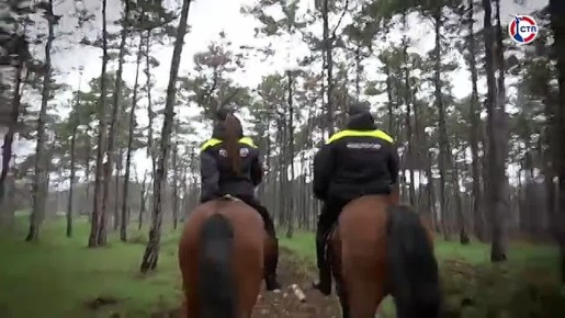 ������ ������� ������� ��� ������ ���� ���� ������ ���, ��� ������� ���������� ��������: �����, �����, ����������