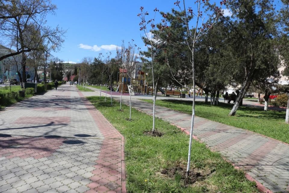 Ежедневно сотрудники Службы городского хозяйства ведут работы по уходу за зелеными насаждениями Ежедневно сотрудники Службы городского хозяйства ведут работы по уходу за зелеными насаждениями