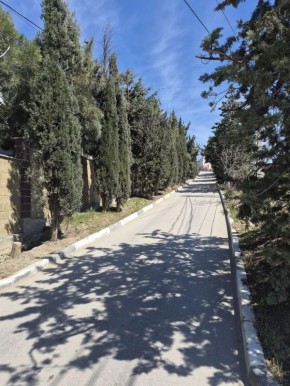 ������ ������: ������� �� ���������� ������� �� �������� ����������� ���