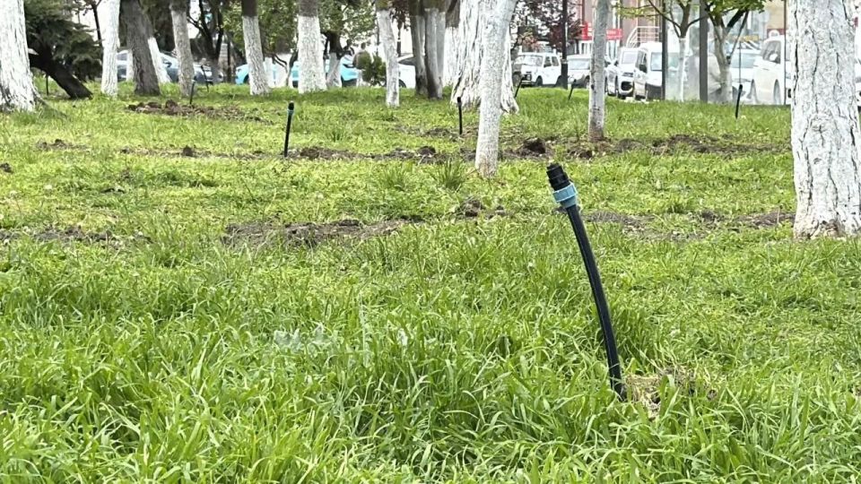 В Керчи продолжается работа по обеспечению бесперебойного полива зелёных насаждений на общественных пространствах В Керчи продолжается работа по обеспечению бесперебойного полива зелёных насаждений на общественных пространствах