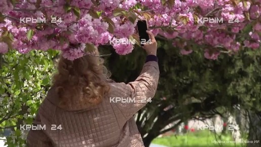 �� ������ ����� ������� ������