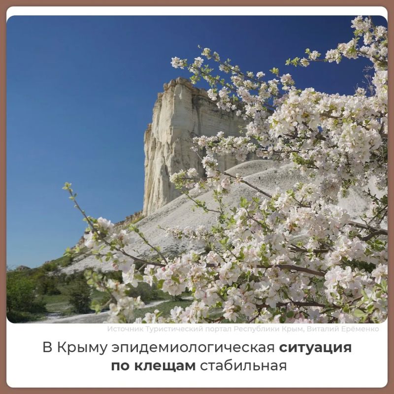 В Крыму эпидемиологическая ситуация по клещам стабильная