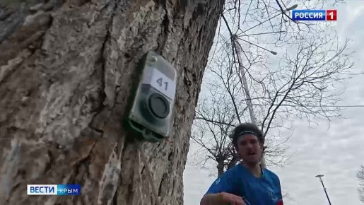 �����. �����: ���������� ��������������