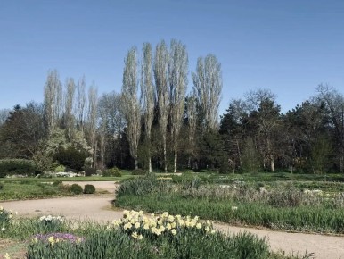 ������ ����, �����������!. ������ 29 ������: