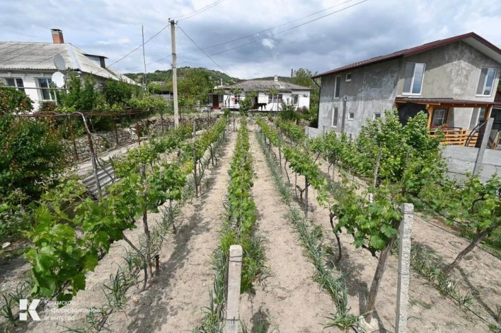 С 1 марта в Крыму и по всей России начал действовать закон об инвазивных (чужеродных) растениях