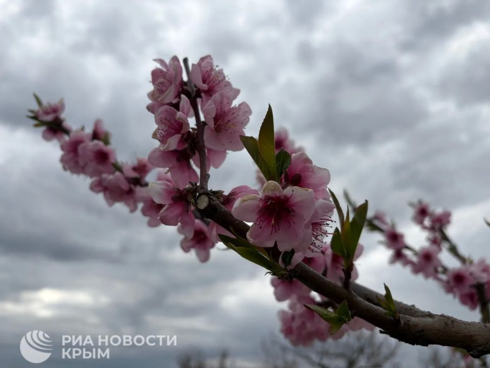 Прогноз погоды в Крыму на среду