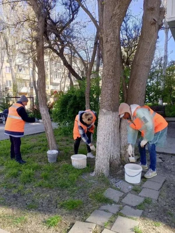 В Керчи продолжаются плановые и внеплановые ремонты в многоквартирных домах В Керчи продолжаются плановые и внеплановые ремонты в многоквартирных домах